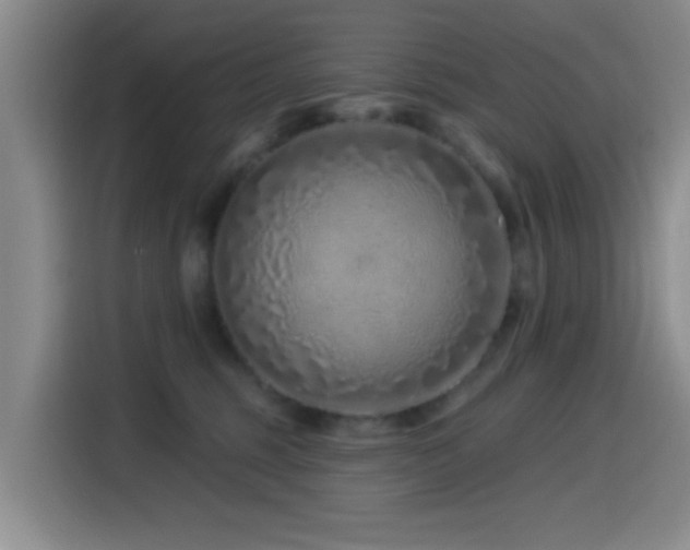X0000115520375200911061422