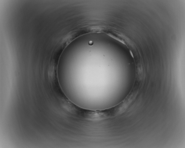 X0000115520379200911061422