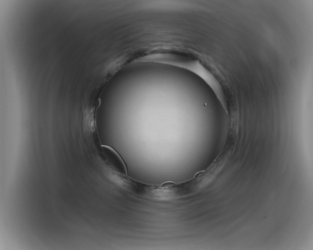 X0000115520383200911061422