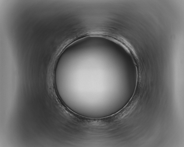 X0000115520385200911061421