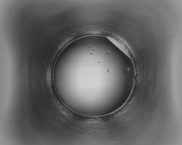 X0000115520386200911061421