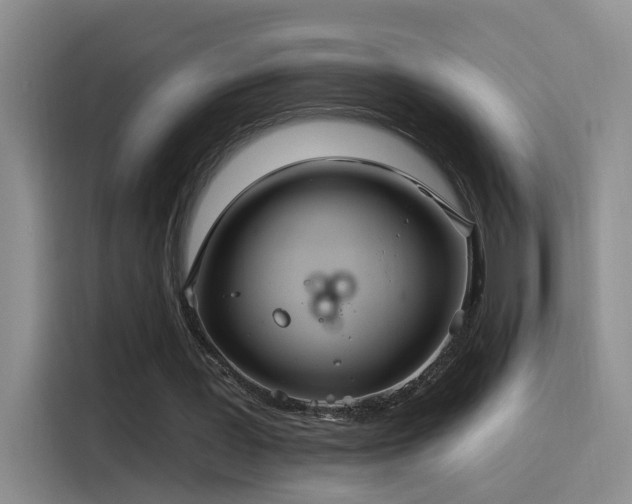 X0000115520387200911061421