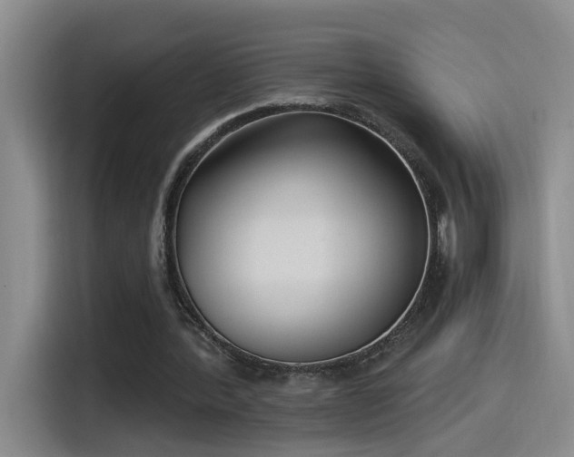 X0000115520388200911061421