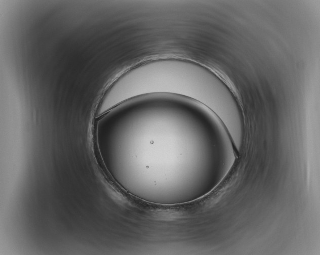 X0000115520389200911061421