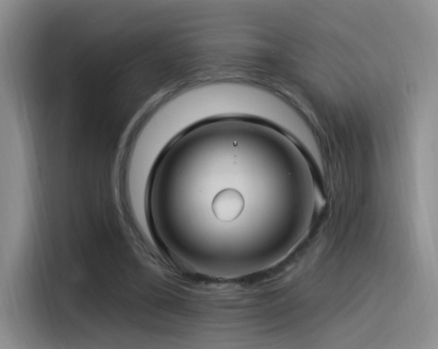 X0000115520395200911061421