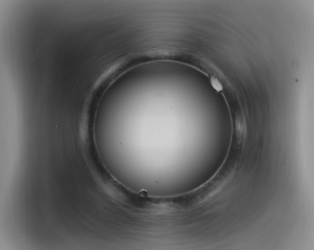 X0000115520396200911061421