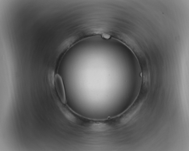 X0000115520397200911061421