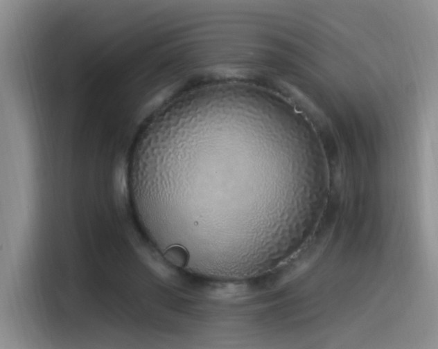 X0000115520398200911061421
