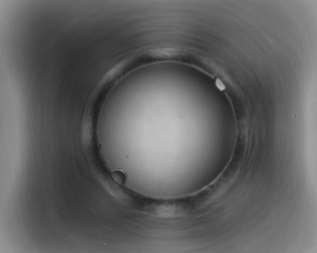 X0000115520400200911061421