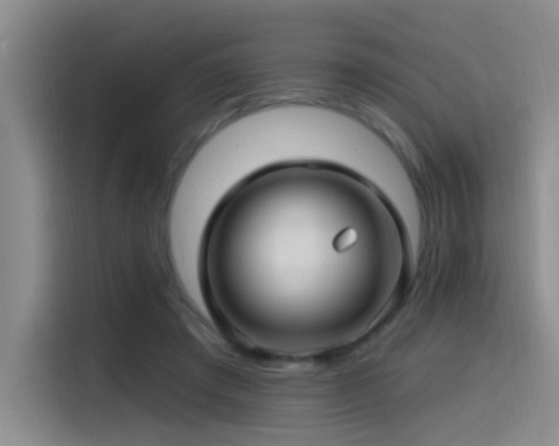 X0000115520401200911061421