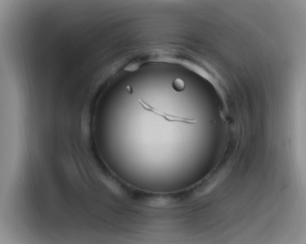 X0000115520402200911061421