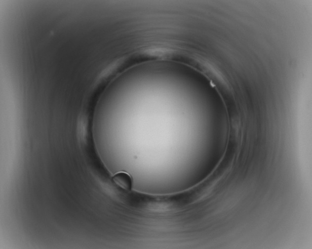 X0000115520404200911061421