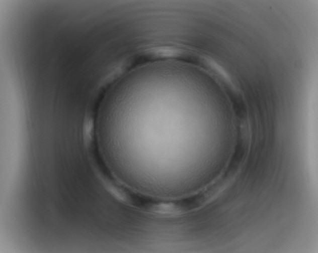 X0000115520406200911061421