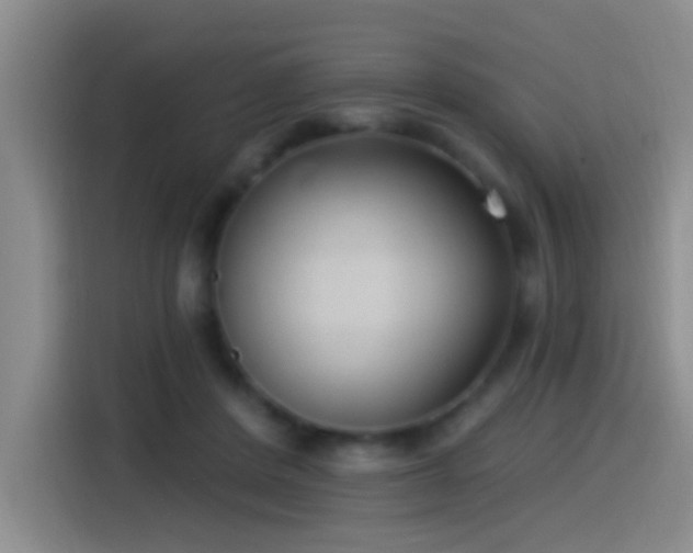 X0000115520408200911061421