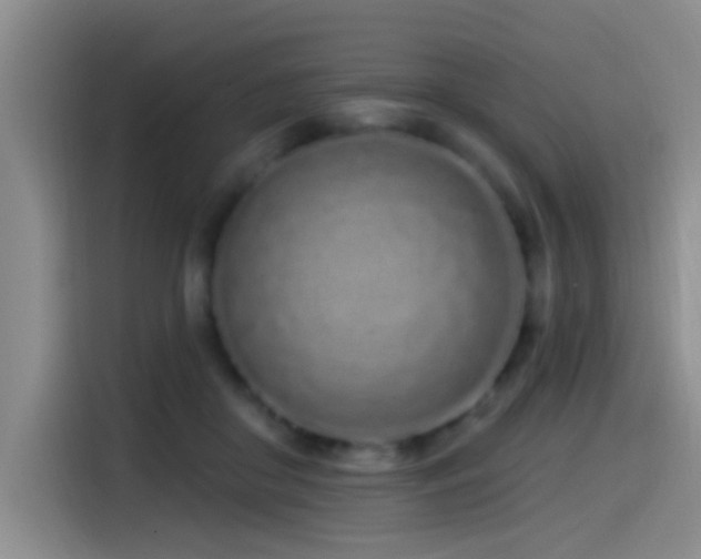 X0000115520410200911061421