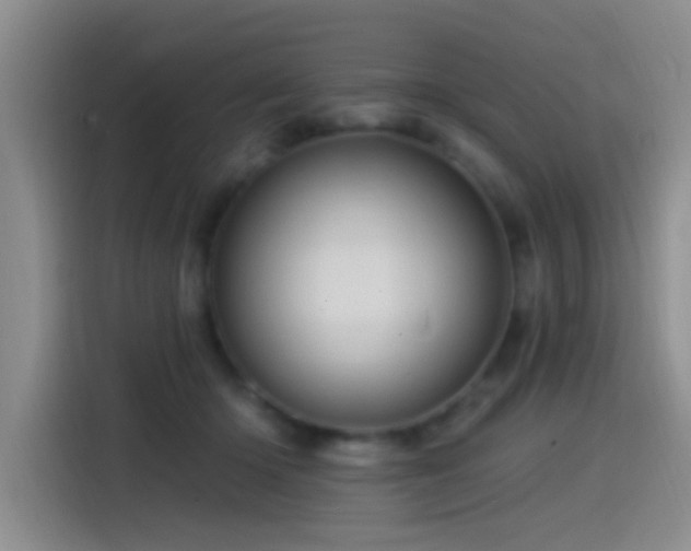 X0000115520414200911061421