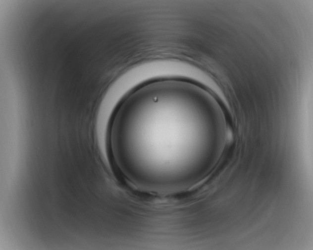 X0000115520415200911061421