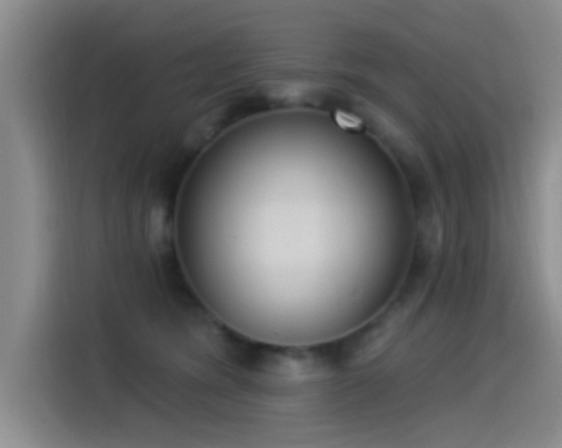 X0000115520420200911061421