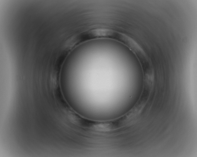 X0000115520422200911061421