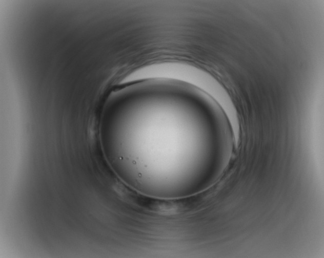 X0000115520423200911061421
