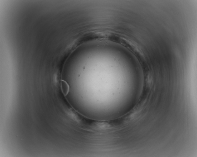 X0000115520424200911061421