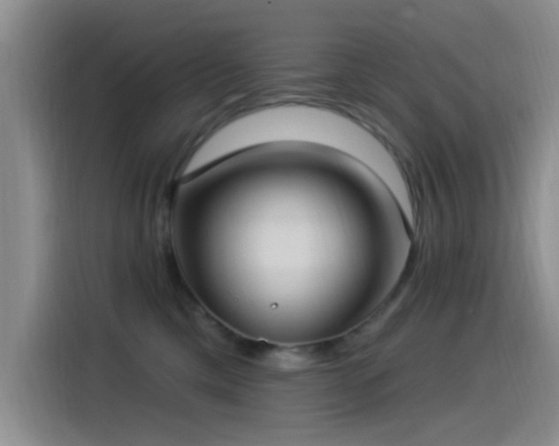 X0000115520425200911061421