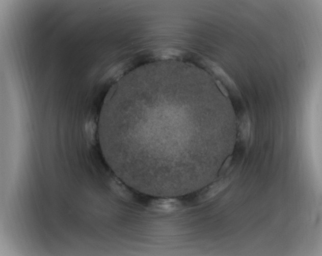 X0000115520427200911061421