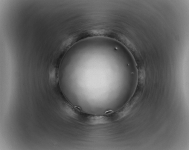X0000115520428200911061421