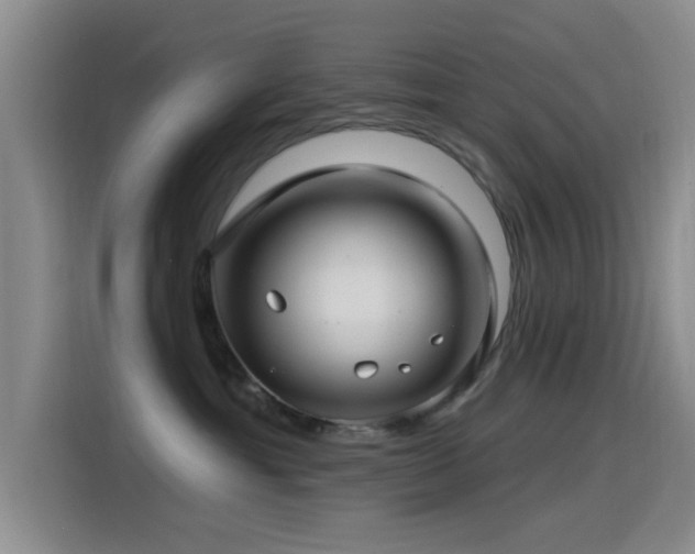 X0000115520429200911061421