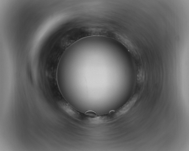 X0000115520430200911061421