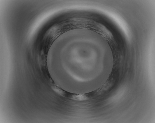 X0000115520431200911061421