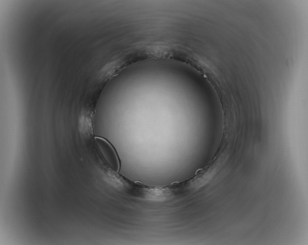 X0000115520432200911061421