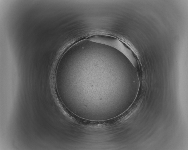 X0000115520433200911061420