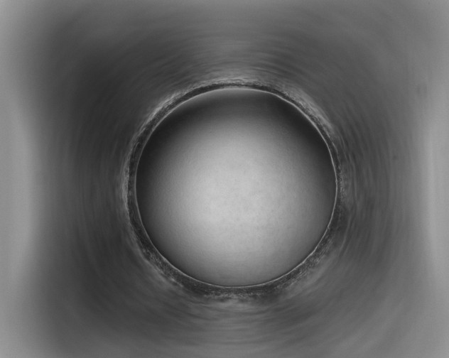 X0000115520434200911061420