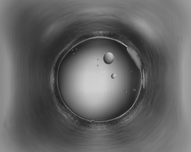 X0000115520435200911061420