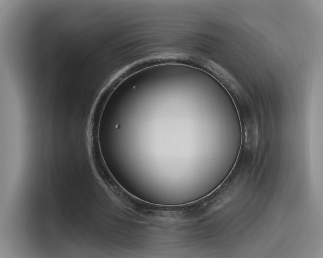 X0000115520436200911061420