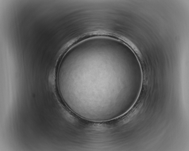 X0000115520437200911061420