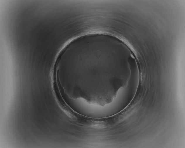 X0000115520438200911061420