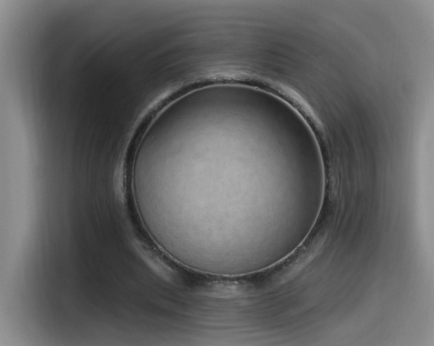 X0000115520439200911061420