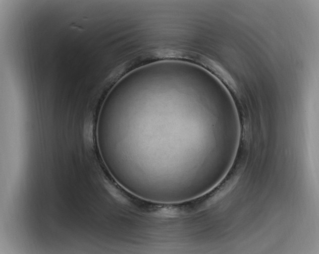 X0000115520441200911061420
