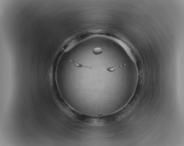 X0000115520442200911061420