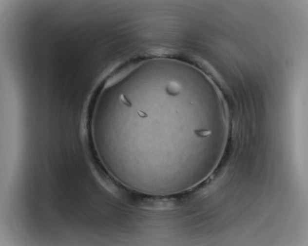 X0000115520443200911061420