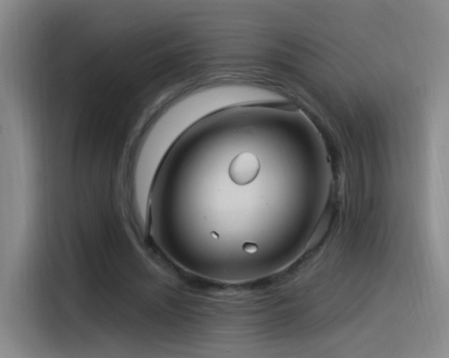 X0000115520444200911061420