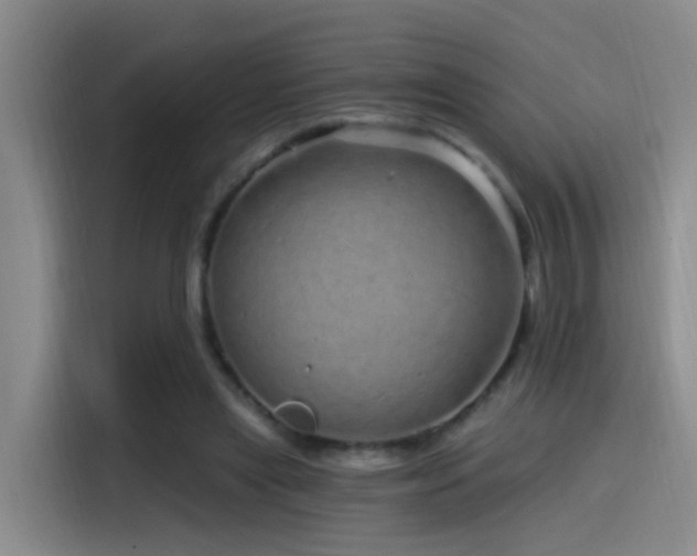 X0000115520445200911061420