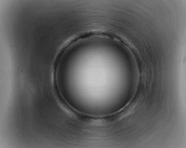 X0000115520446200911061420