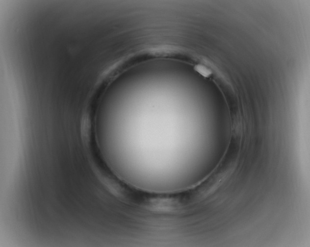 X0000115520448200911061420