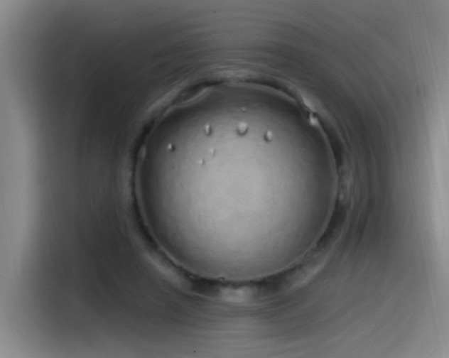 X0000115520450200911061420