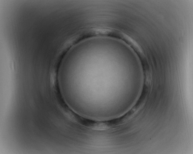 X0000115520451200911061420