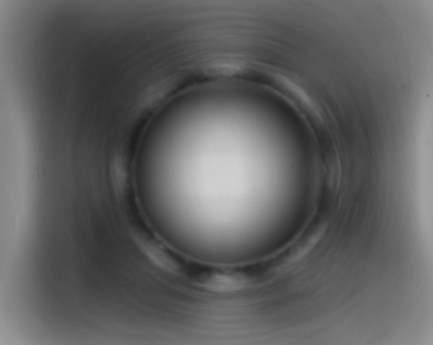 X0000115520455200911061421