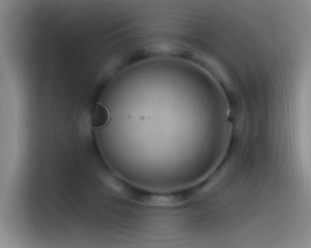 X0000115520457200911061421